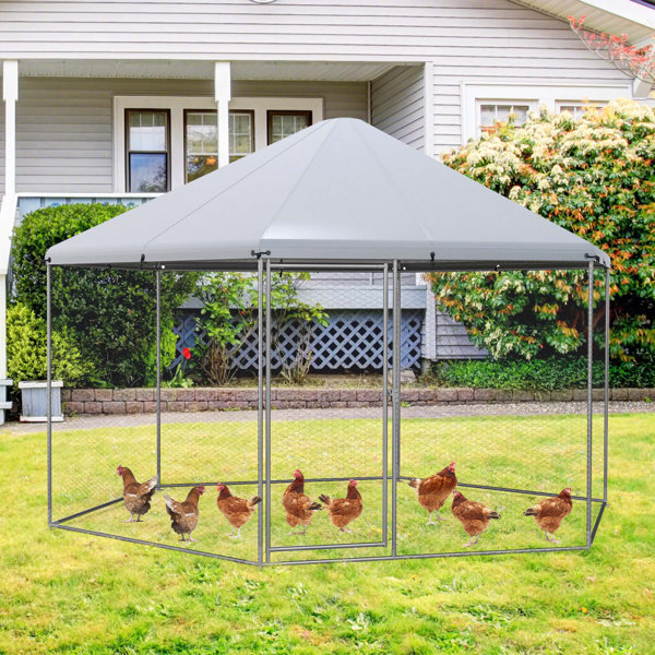Tucker Murphy Pet™ Evanka Walk In Chicken Run Wayfair